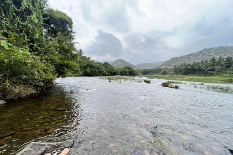 Kochi: Attappadi & Silent Valley 2-Day Tour with Meals