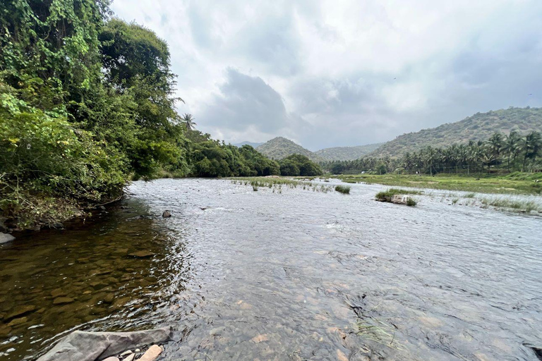 Kochi: Attappadi & Silent Valley 2-Day Tour with Meals