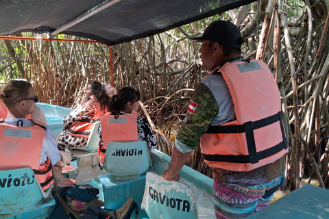 Río Lagartos: Flamingosafari en Las Coloradas Tour