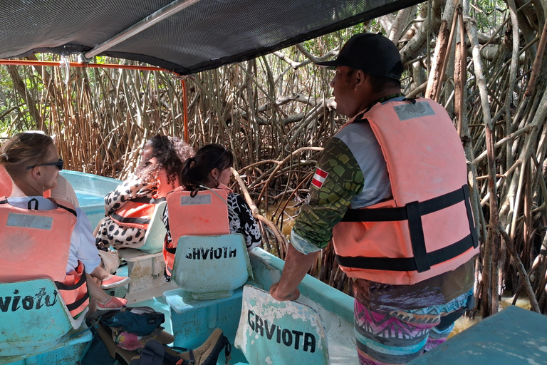 Río Lagartos: Flamingosafari en Las Coloradas Tour