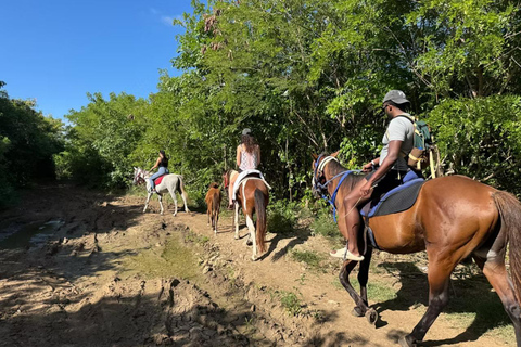 St. Lucia: Private Romance & Rose Horseback Experience