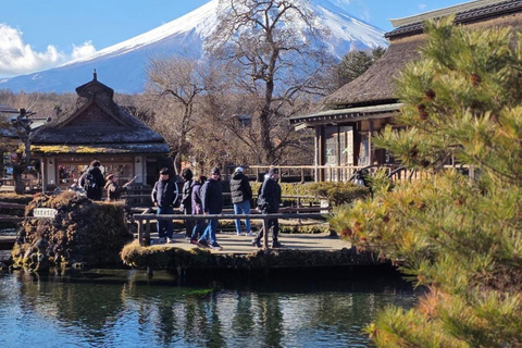 From Tokyo: Mt. Fuji & Hakone Private Scenic Day Tour