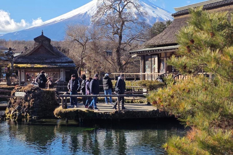 From Tokyo: Mt. Fuji & Hakone Private Scenic Day Tour