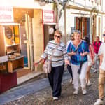 Tour enologico di Saint-Émilion - Pomeriggio con 2 cantine e degustazioni