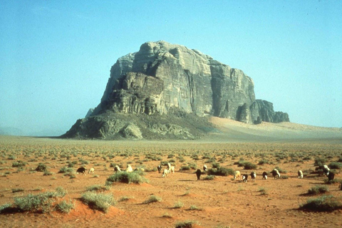 Wadi Rum: Half-day 4x4 Tour with Sandboarding and Canyons