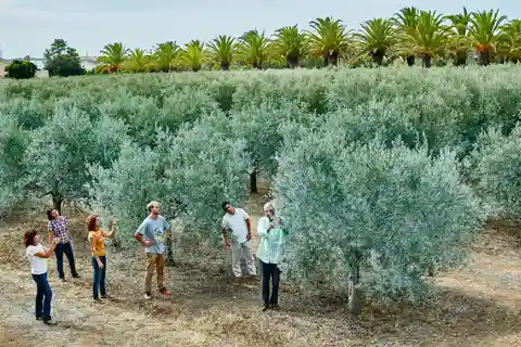 Algarve: Olive Oil, Market, and Ria Formosa Boat Tour