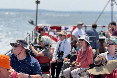 NYC Skyline &amp; Statue of Liberty Sightseeing Cruise90 minuten durende rondleiding