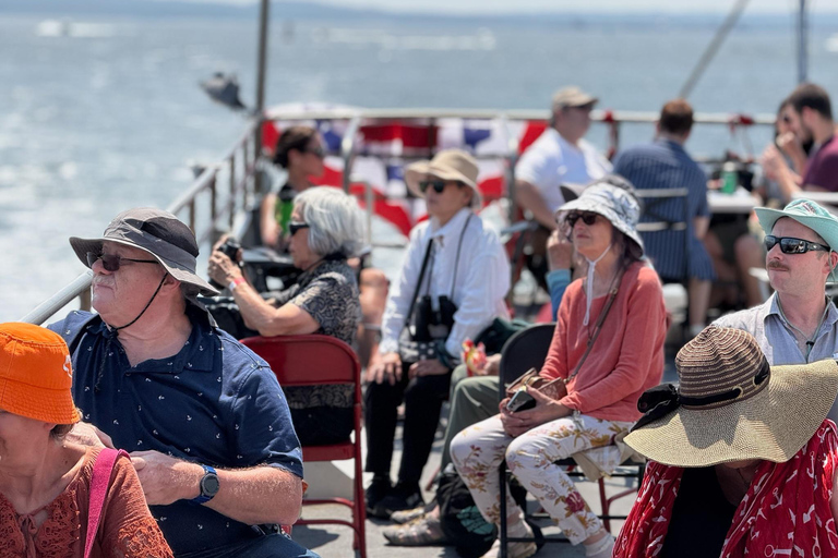 NYC Skyline &amp; Statue of Liberty Sightseeing Cruise90 minuten durende rondleiding