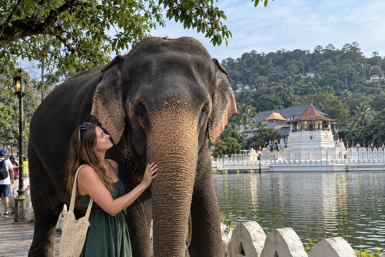 Kandy: Elephant Village Experience & Kandyan Dance Tour Kandy: Private Guided City Tour by Tuk-Tuk