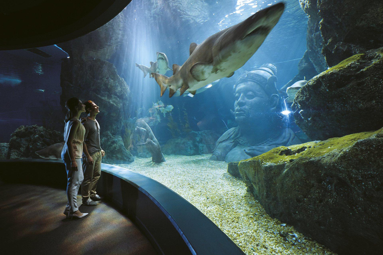 بانكوك: تذكرة دخول سي لايف بانكوك ومتحف مدام توسوتواريخ الذروة في نفس اليوم