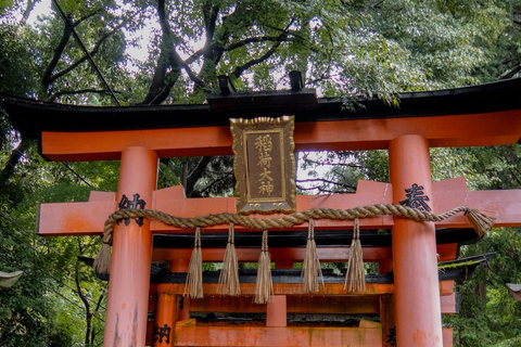 From Osaka/Kyoto: Nara & Kyoto Family Adventure with Guide