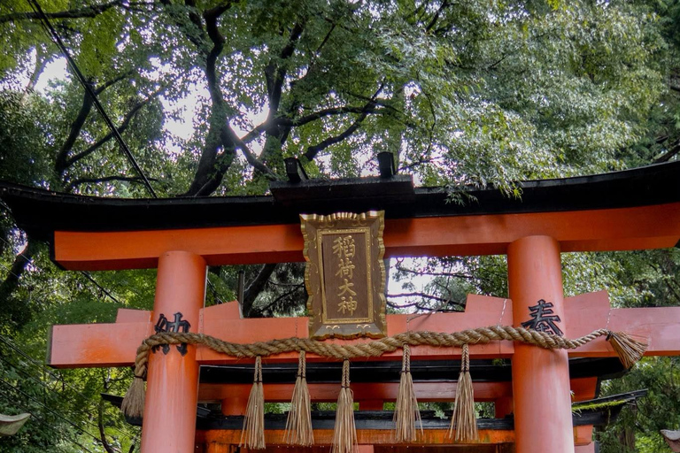 From Osaka/Kyoto: Nara & Kyoto Family Adventure with Guide