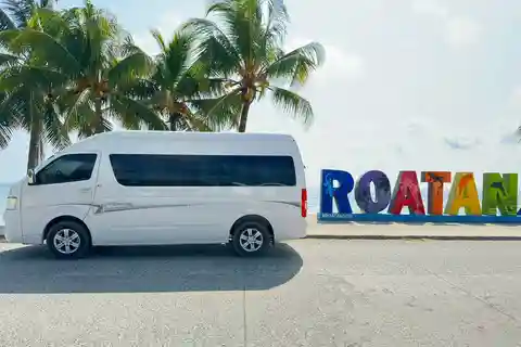 Roatan: Sloths, Monkeys, and Birds Sanctuary Tour