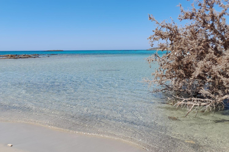 Dagsutflykt till Elafonissi och Falassarna privat strand (med SUP)elaf falas