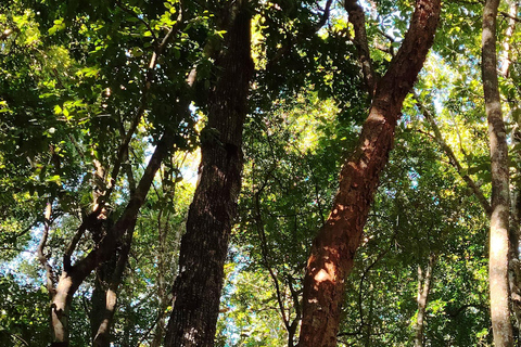 Bacalar: Ichkabal mayan temples & boat tour. Ichkabal only mayan temples guided tour.