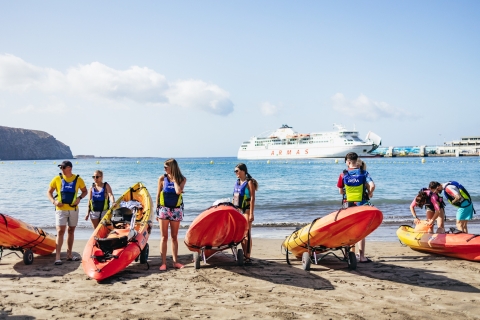 Tenerife: kajaksafari met zeeschildpadden en snorkelenTenerife: kajaksafari met dolfijnen, schildpadden en meer