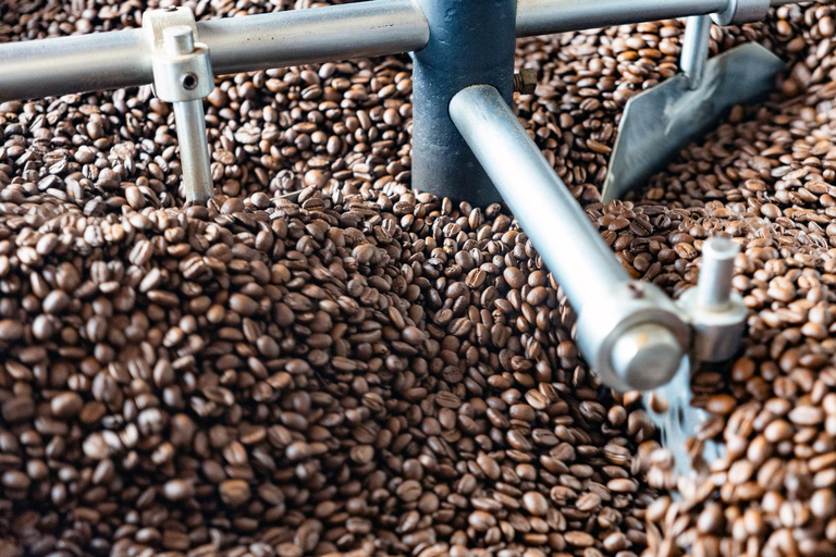 Huatulco: Pluma Hidalgo Coffee Origin and Essence.