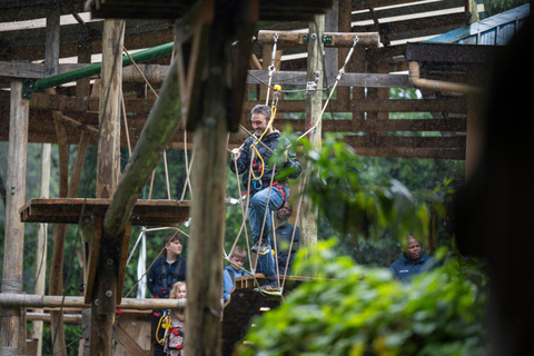 Nyungwe Forest: Zipline Adventure and Canopy Walkway