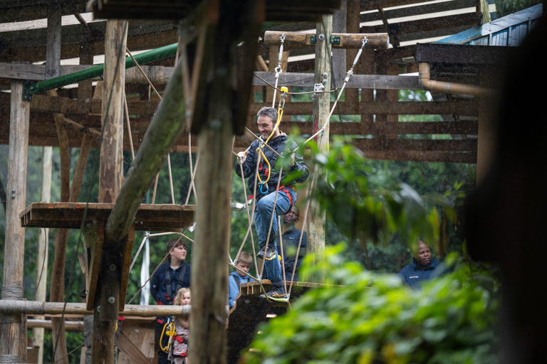 Nyungwe Forest: Zipline Adventure and Canopy Walkway