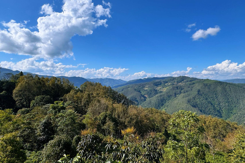 جبل جينغماي (اليونسكو) | غابات الشاي القديمة وقرى دايجبل جينغماي (اليونسكو): غابات الشاي القديمة وقر