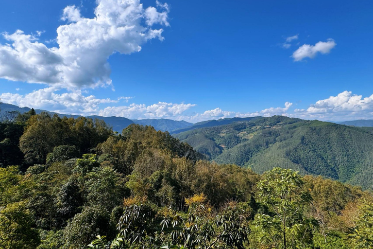جبل جينغماي (اليونسكو) | غابات الشاي القديمة وقرى دايجبل جينغماي (اليونسكو): غابات الشاي القديمة وقر