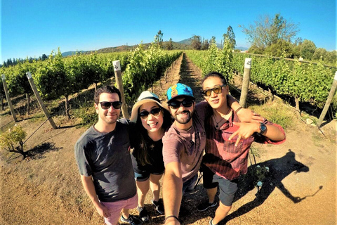 Private Casablanca Wine Valley: 2 Boutique Wineries & Lunch