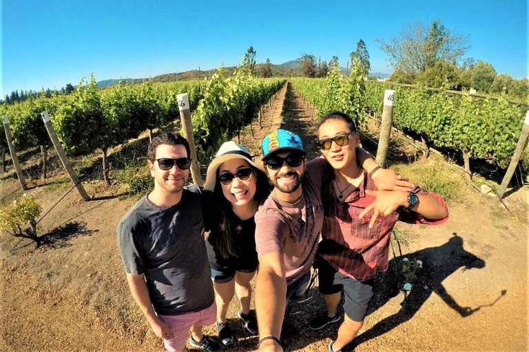 Private Casablanca Wine Valley: 2 Boutique Wineries & Lunch