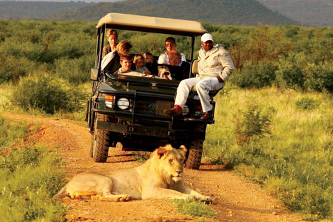 Mezza giornata nella Tala Game Reserve e nel Natal Lion Park da Durban