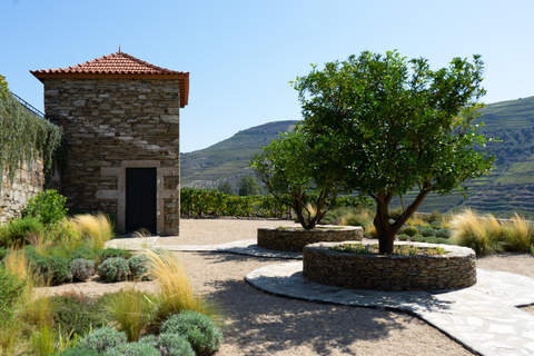 From Porto: 2 Boutique Wineries w/ Winery Lunch & 1-h cruise Tour in English