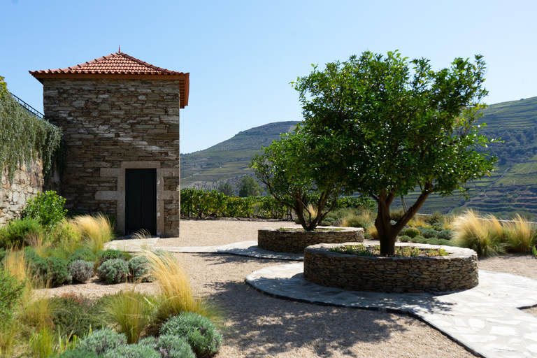 From Porto: 2 Boutique Wineries w/ Winery Lunch & 1-h cruise Tour in English