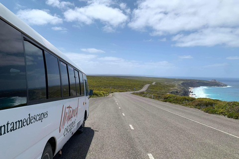 Excursões de Vários Dias