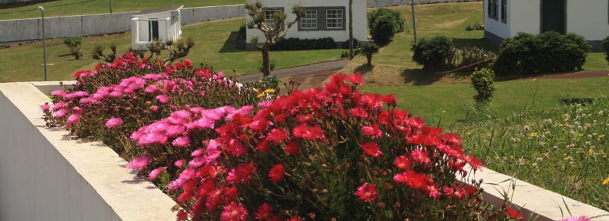 Fleurs : Transport privé - Santa Cruz x Lajes avec arrêt panoramique