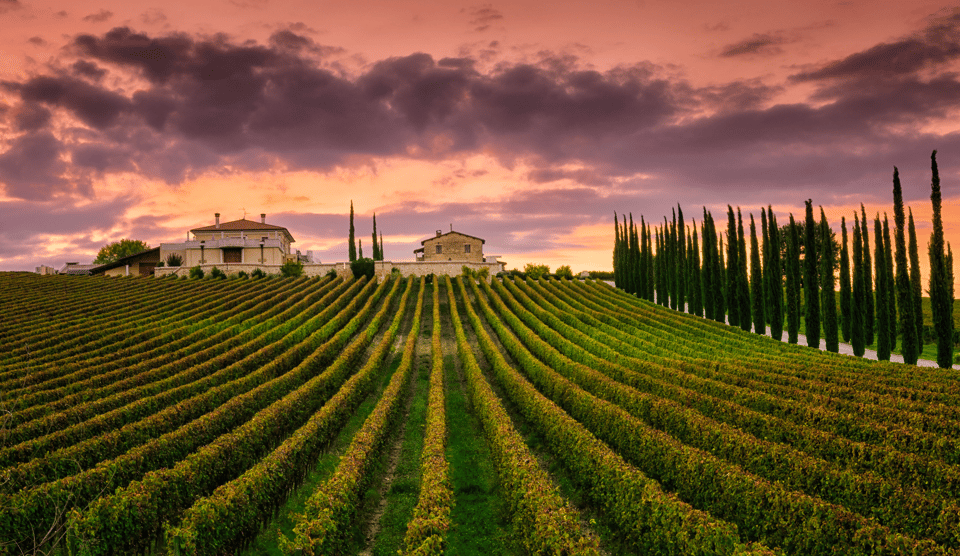 From Roma: Montepulciano and Montalcino, on the Wine Routes