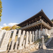 3-Hour Guided Nara Tour: Deer Park & Todaiji Highlights