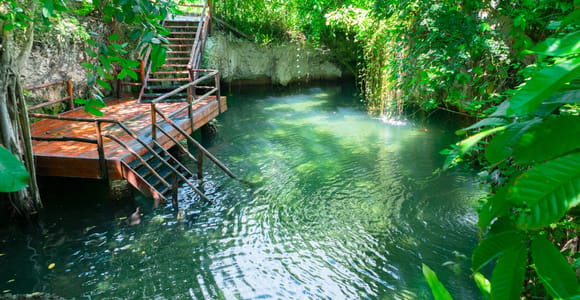 Punta Cana: Monkey Park, Buggy Adventure & Cenote Swim Combo