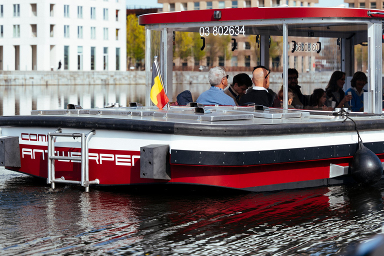 Antwerp: Public cruise through the old docks of Antwerp