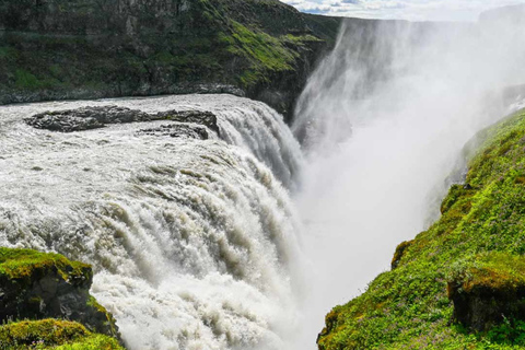 Ganztägige Walbeobachtung & Golden Circle Tour ab Reykjavik