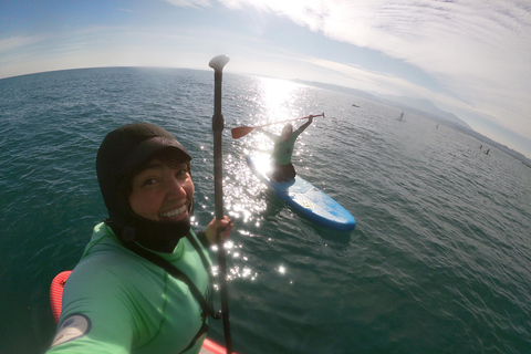 From Valparaíso: Concón Birdwatching & Sunset SUP Tour
