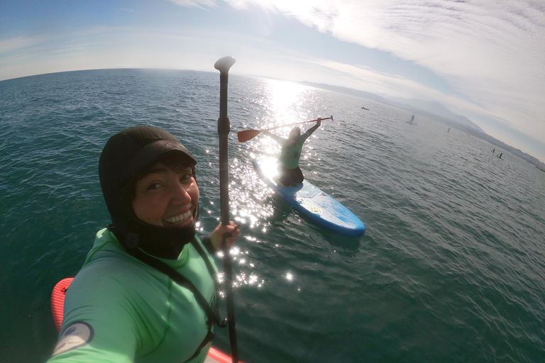 From Valparaíso: Concón Birdwatching & Sunset SUP Tour
