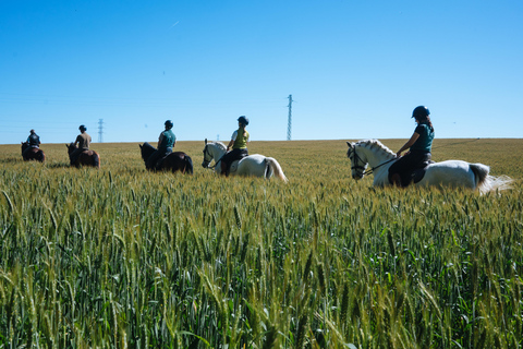 Horseback ride around Doñana National Park Horseback riding around Doñana National Park