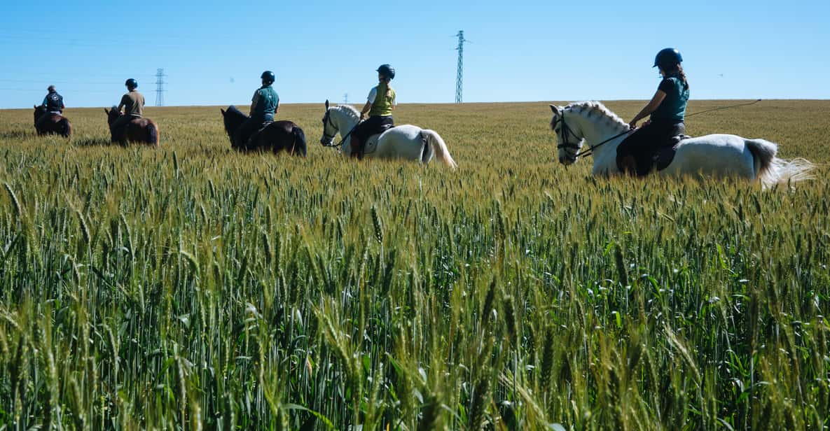 Afbeelding 18 van Paardrijden rond het Nationaal Park Doñana