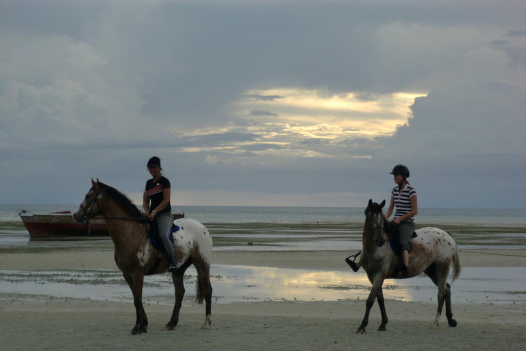 The Rock Restaurant, Prison Island Tour, Horseback Riding