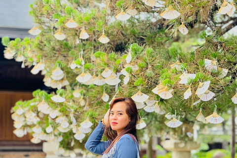 Osaka/Kyoto/Nara: Privat skräddarsydd rundtur på engelskaOsaka/Kyoto/Nara: Privat anpassad rundtur på engelska