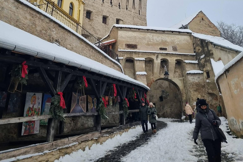 Transylvania 4-Day Tour: Castles, Bears & UNESCO