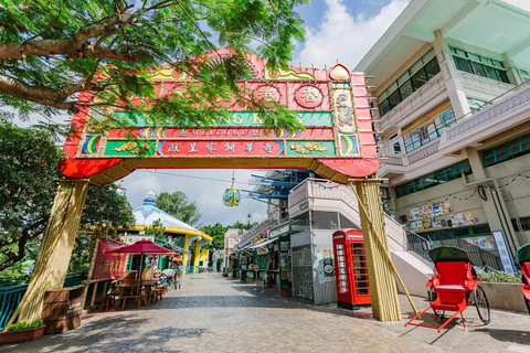 Hong Kong: Ocean Park Panda Visit Entry Ticket with Transfer Ocean Park (with ticket and transfer)