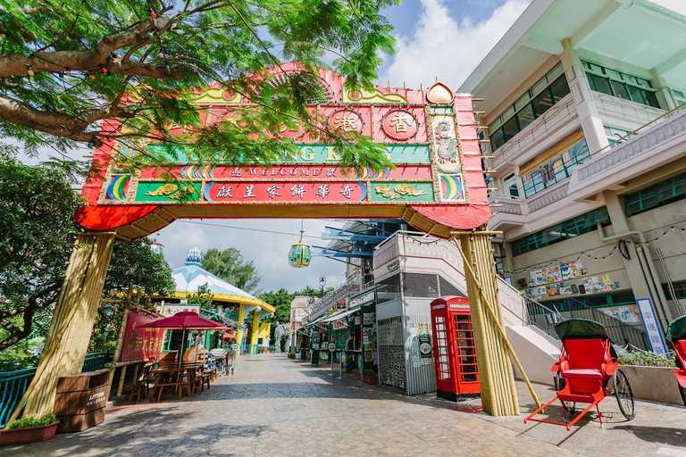 Hong Kong: Ocean Park Panda Visit Entry Ticket with Transfer Ocean Park (with ticket and transfer)