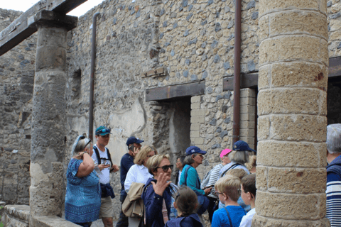 From Naples Pompeii & Mount Vesuvius Smart Tour with Tickets