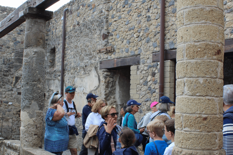 From Naples Pompeii & Mount Vesuvius Smart Tour with Tickets