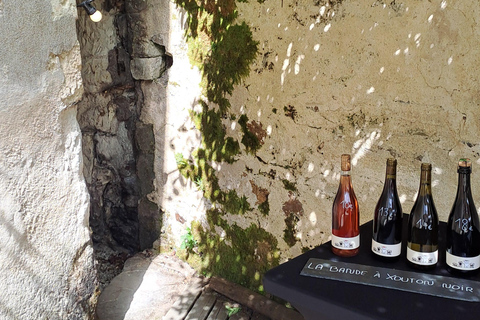 Introduction to Loire Anjou Wines - Afternoon tour