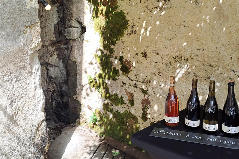 Introduction to Loire Anjou Wines - Afternoon tour